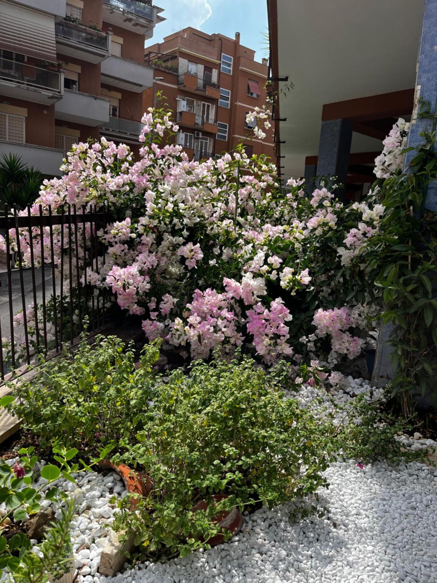 Casetta Romana Bagian luar foto